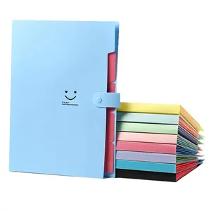 5-Pocket Colorful Drawer File folder