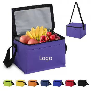 6-Pack Portable Insulated Cooler Bag