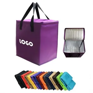 Multifunctional cooler bag